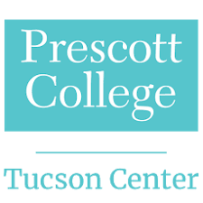 Tucson Icon Logo