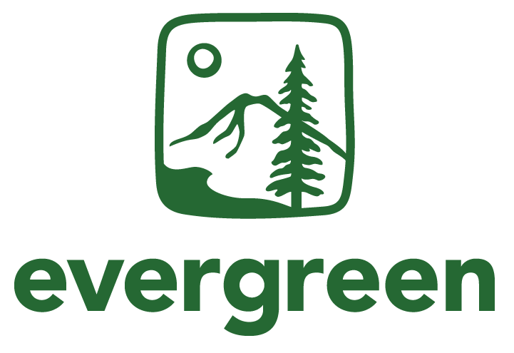 Evergreen