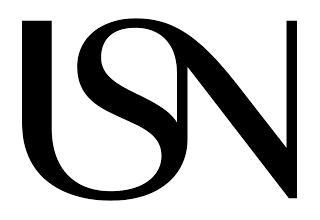University of South-Eastern Norway