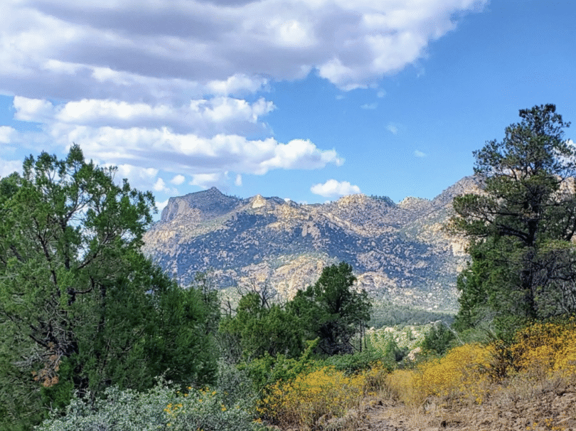 Photo credit: Natural History Institute