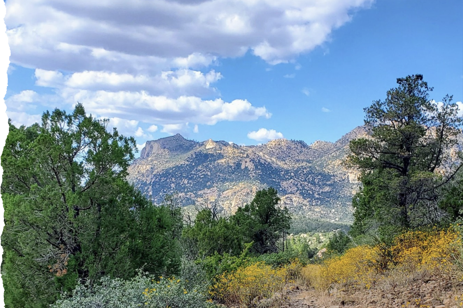 Photo credit: Natural History Institute