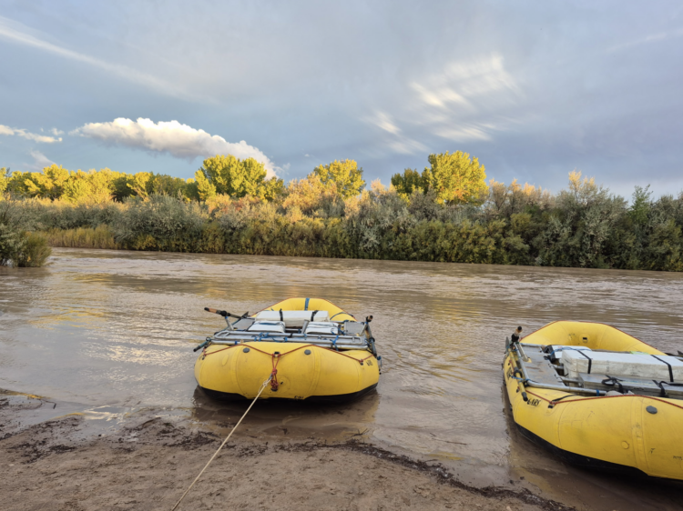 Yoga Immersion on the San Juan River Microcredential