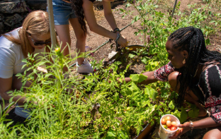 Students in on-campus gardens learning sustainability at Prescott College